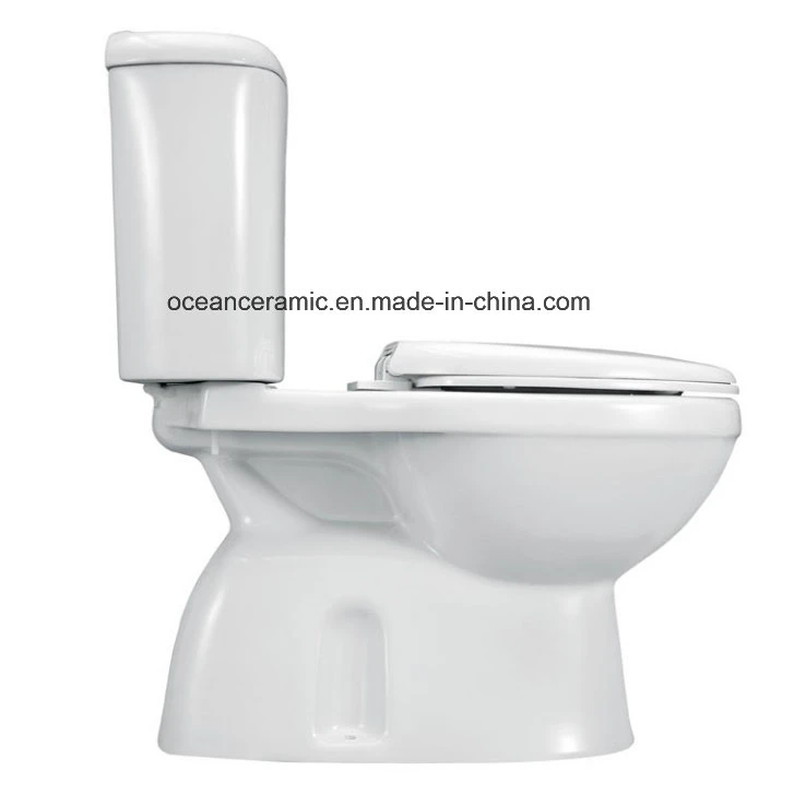 8820 Washdown Two Piece Toilet, Close-Coupled Wc Suite